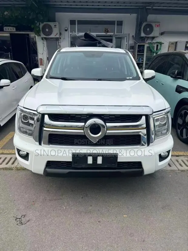 Great Wall Pao 2023 White · Photo 1
