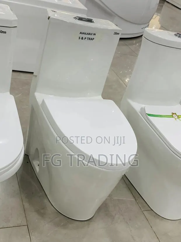 Combined Water Closet - One Piece Toilet Seat - Water Closet · Photo 1