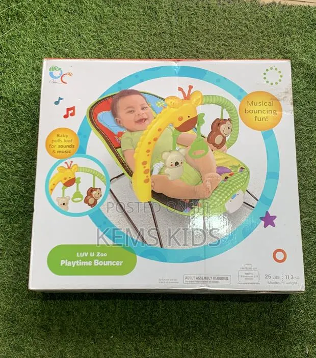 Playtime Bouncer · Photo 1