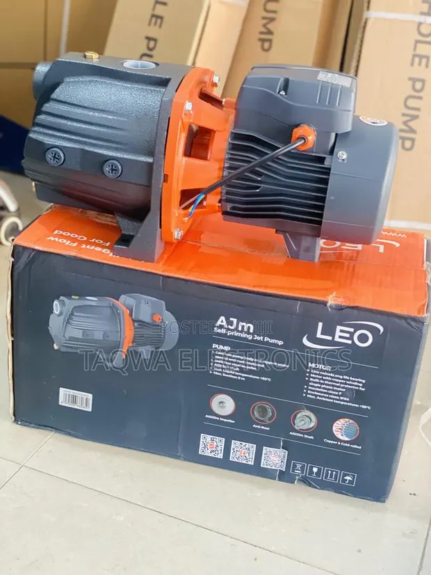 Constant Pressure Leo 1 Horsepower Cast Water Pump · Photo 1