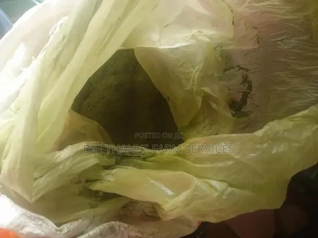 Organic Moringa Leaf Powder Wholesale Retail · Photo 3