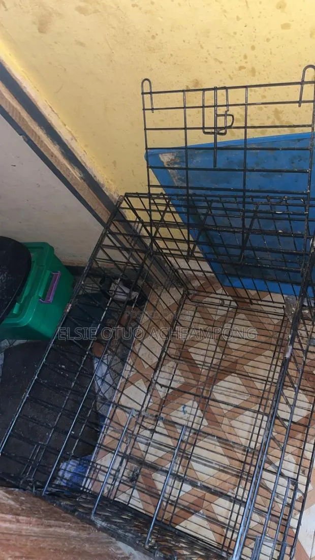 Dog Cage With Free Accessories · Photo 1