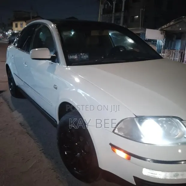 Volkswagen Passat 2003 White · Photo 1