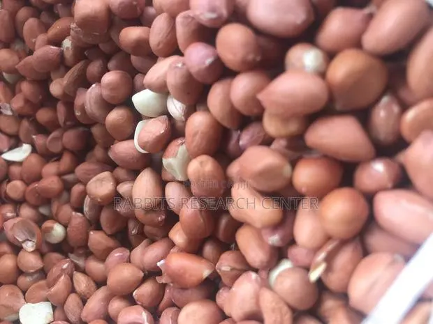 Fresh And Roasted Groundnut (100kg) · Photo 1