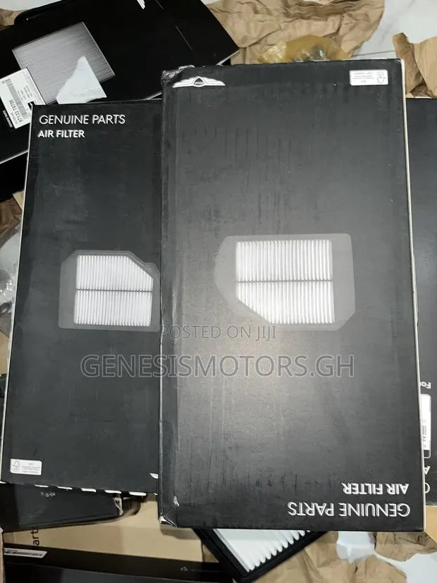 Genesis Gv80 2.5T OEM Engine Air Filter · Photo 1