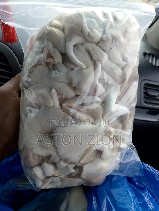 Fresh Organic Oyster Mushrooms · Photo 1