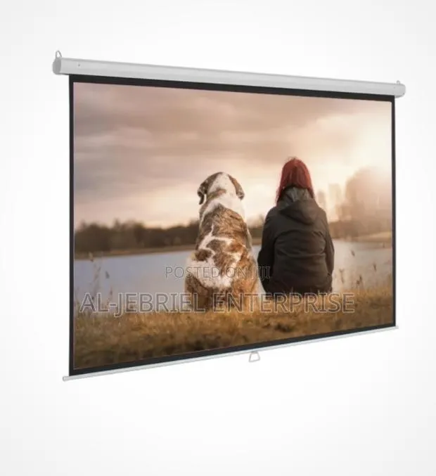 Projector Screen 244cm Manual Pull Down · Photo 1