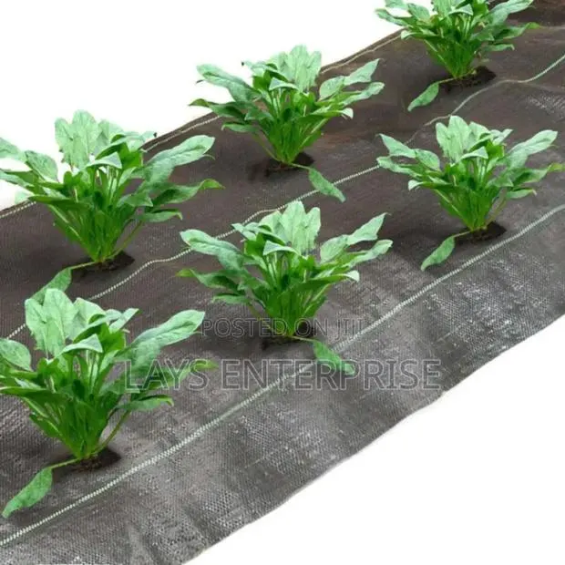 Anti Grass Weed Mat Uv Protection(1*100meters) · Photo 1