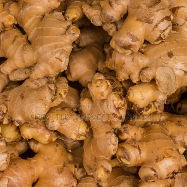 Fresh Ginger · Photo 1