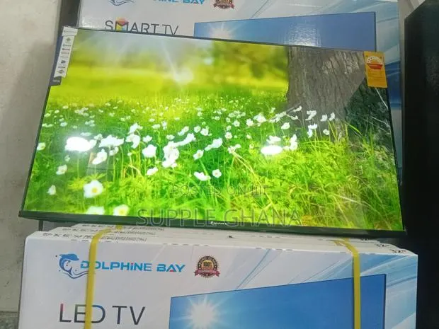 Lumaview Dolphine Bay 43-Inch Smart Tv, Dolphine Bay Smart Tv · Photo 1