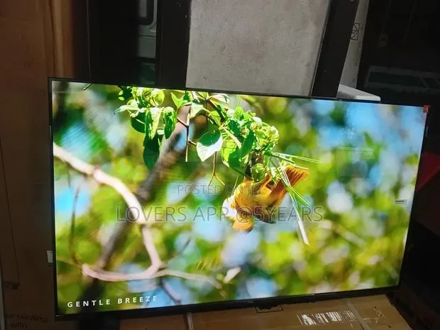 TCL 43 " Smart Qled Google Tv. · Photo 1