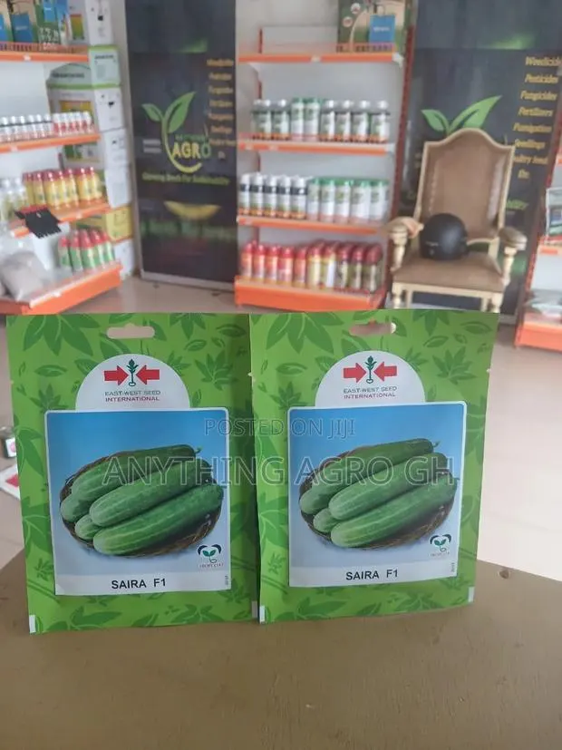 Saira F1 Cucumber (Hybrid) · Photo 1