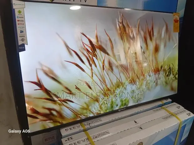 Dolphin Bay 43-Inch Smart Television With Stunning Hd Dolphine Bay · Photo 1
