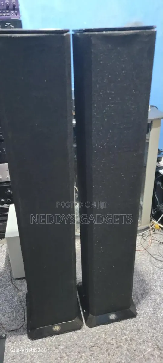 BNS Evolution Floorstanding Speakers · Photo 1