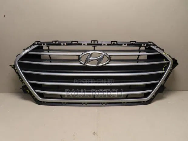 2017 Hyundai Elantra Front Grille · Photo 1