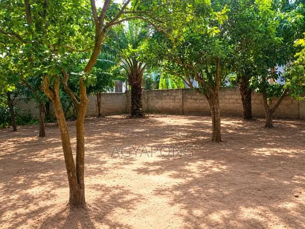 Quarter Plot of Land for Sale · Photo 1