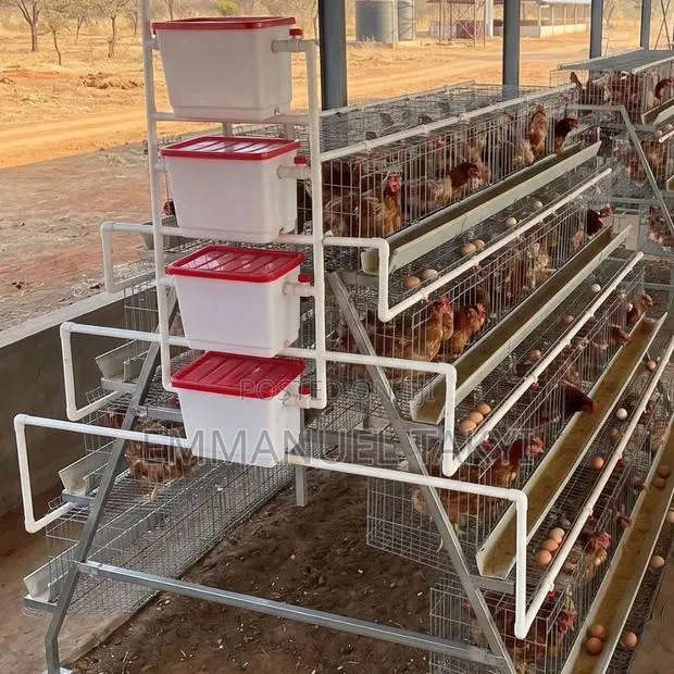 Chicken Cage 4--Tier a-Shape · Photo 1