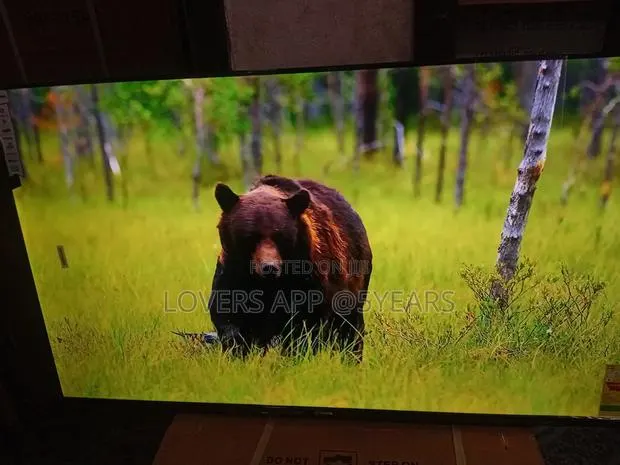 Sigma 55" Led Tv, Breathtaking Quality. · Photo 1