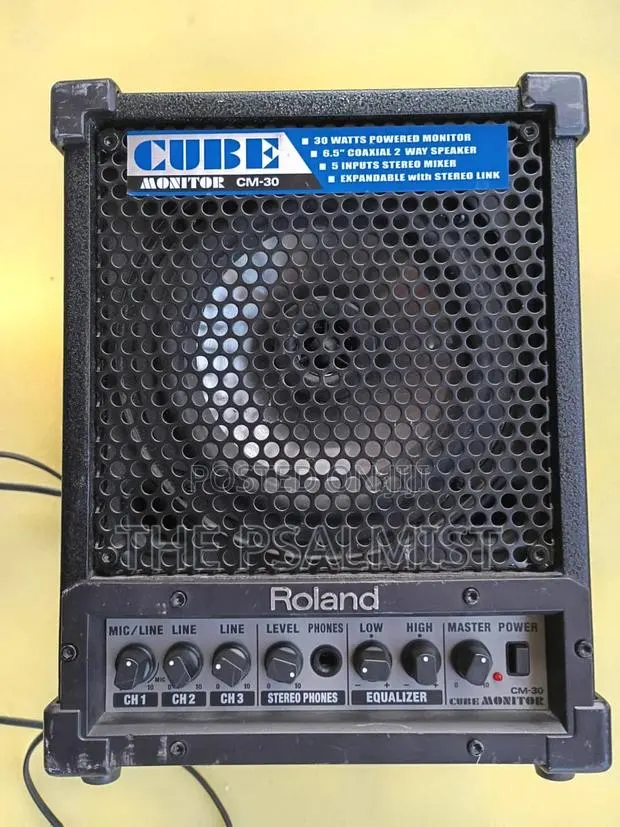 Roland Monitor CM-30 · Photo 1