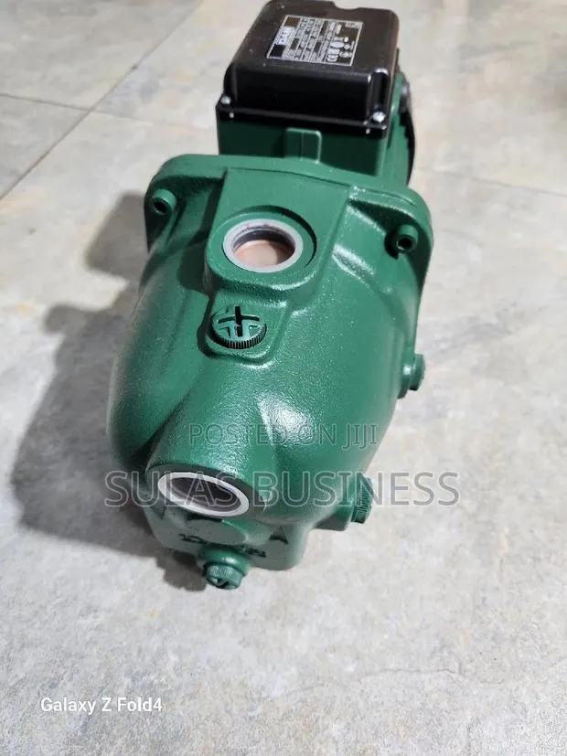 1 Hp Dab Cast Pump · Photo 1