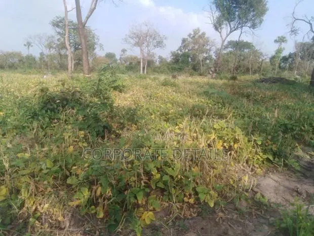 Land for Sale · Photo 1
