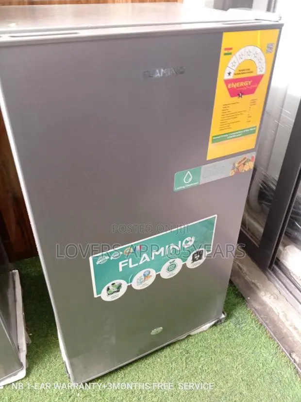 Flamino Cool Storage Refrigerator Easy to Use · Photo 1