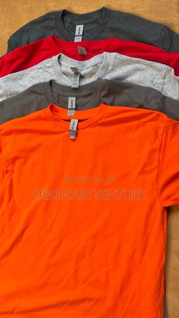 Quality and Affordable Unisex Plain T-Shirt From USA · Photo 1