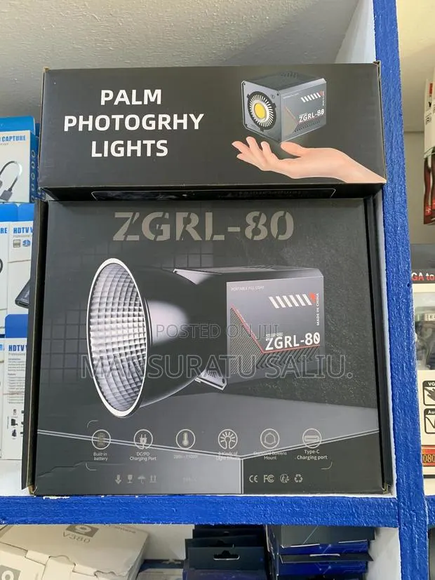 ZGRL-80 Palm Photography Light · Photo 1