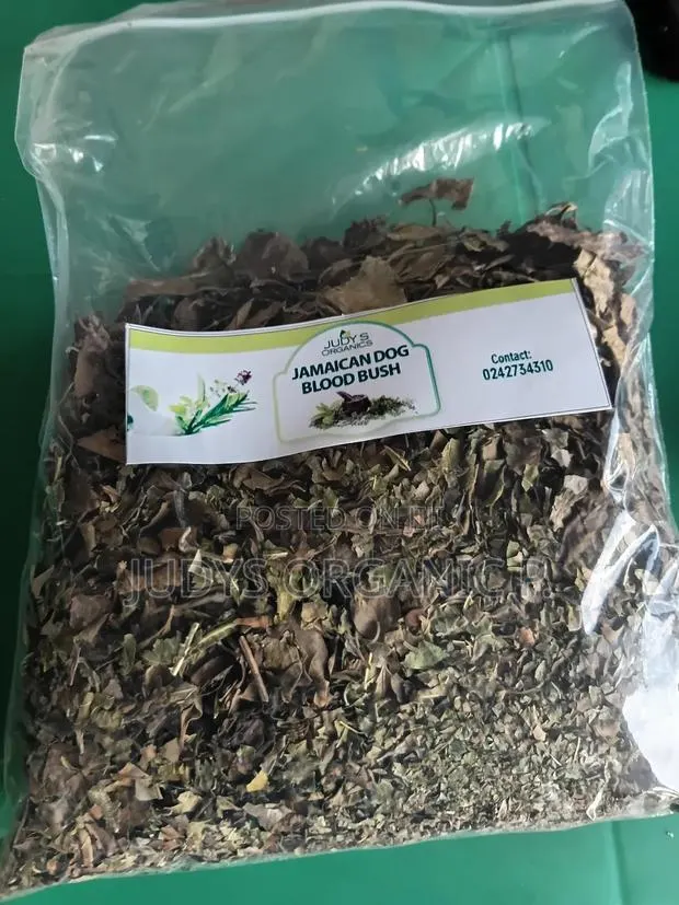 Jamaican Dog Blood Bush Herbs (Fertility, Cyst, Prostate in Men) · Photo 1