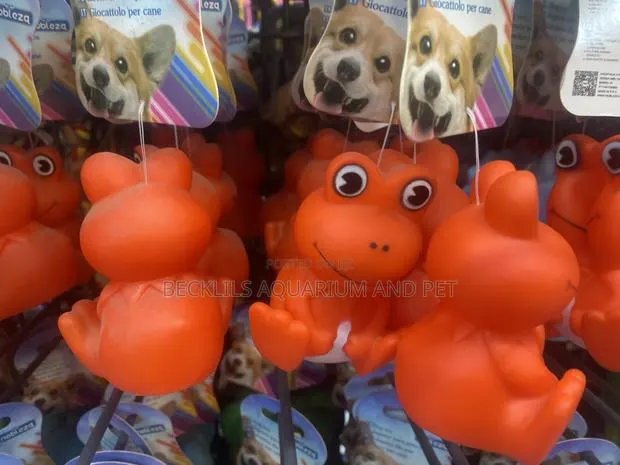 Dog Play Toy ( Frog Type With Music) · Photo 1
