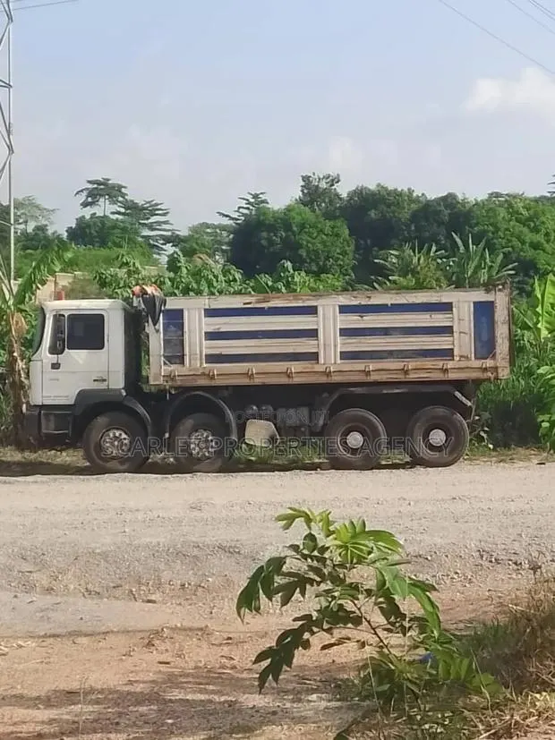 Man Diseal Truck · Photo 1