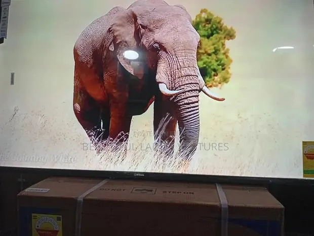 Sigma 55-Inch Smart Tv – Smart Living Made Easy · Photo 1