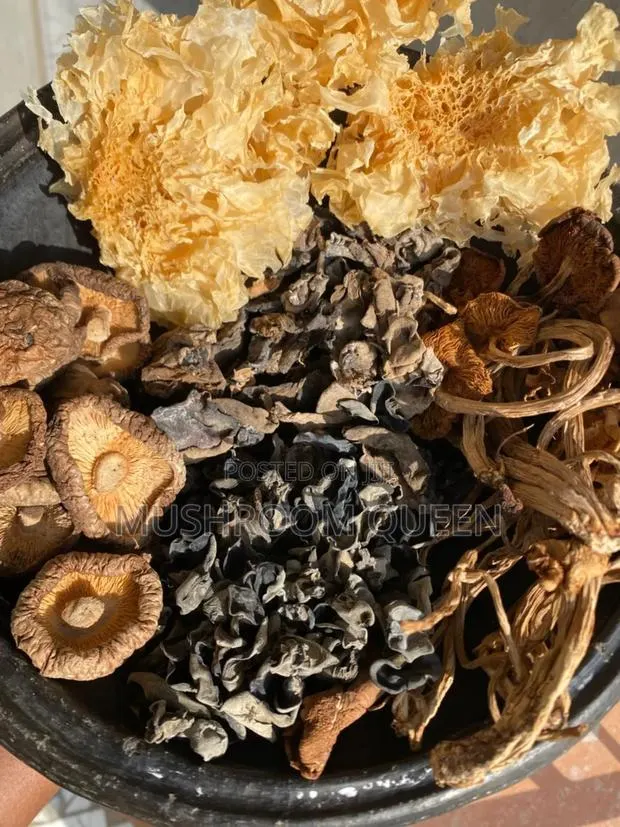 Variety of Mushrroms · Photo 1