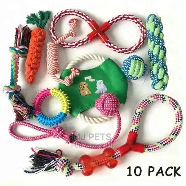 Dog Playing Toys · Photo 1