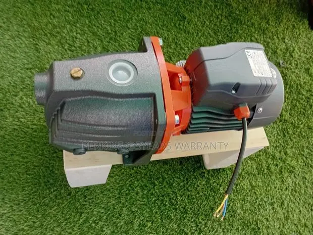 Super Efficiency 1.5hp Leo Self-Priming Jet Pump Water Pump · Photo 1