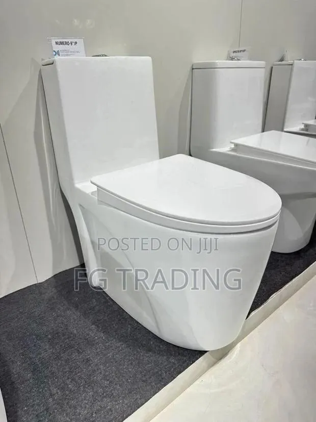 Combined Water Closet - Toilet Seat - Stylish WC · Photo 1