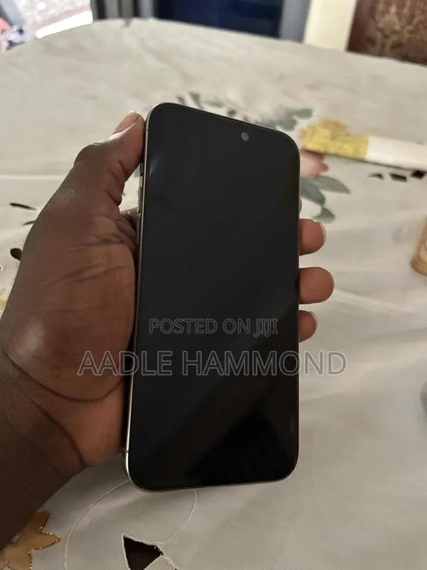 Apple iPhone 15 Pro Max 256 GB Gray · Photo 1