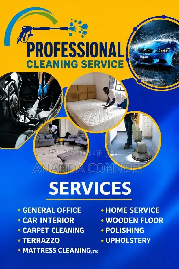 Professional Cleaning Service · Photo 1