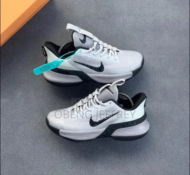 Original Nike LeBron Ambassador Grey · Photo 1