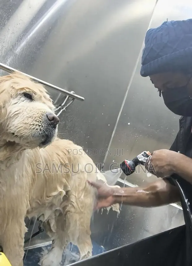 Pet Grooming in Accra Ghana | Dogs & Cats