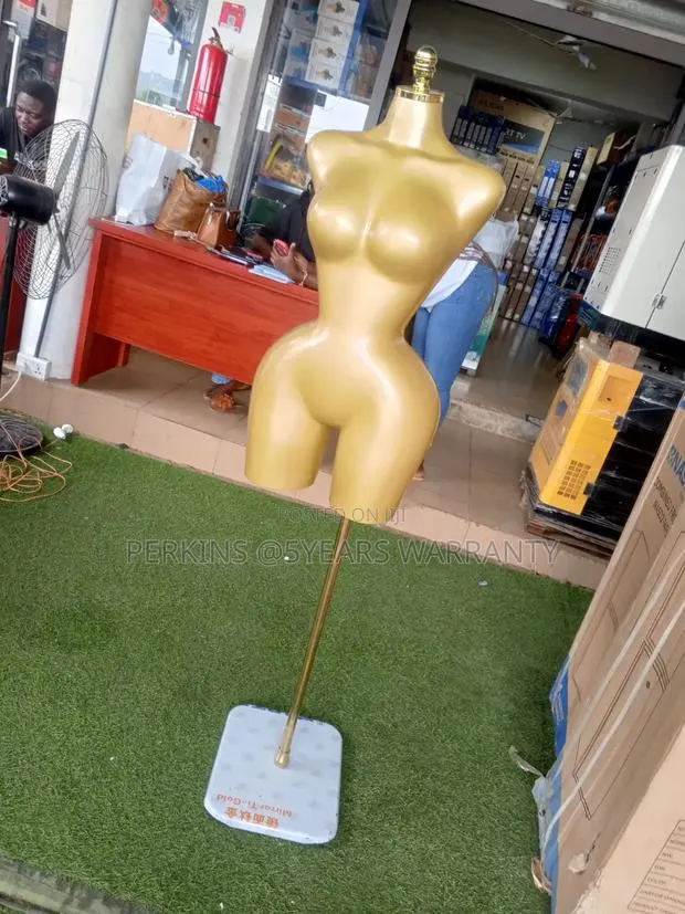 Retail Store Female Torso Display · Photo 1