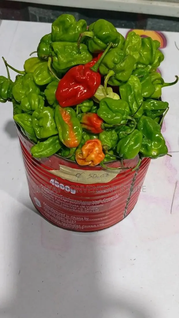 Hot Pepper · Photo 1