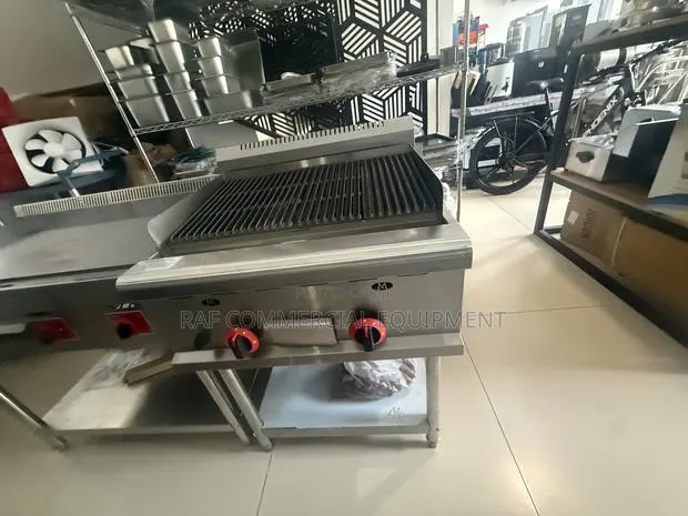 Commercial Standing Charcoal Gas Grill · Photo 1