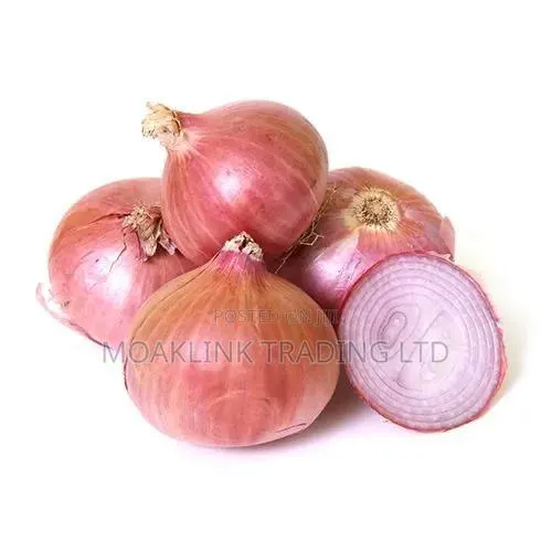 Fresh Onion · Photo 1