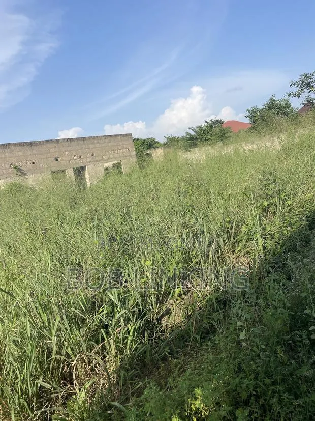Half Plot Comes With Foundation and Flow · Photo 1