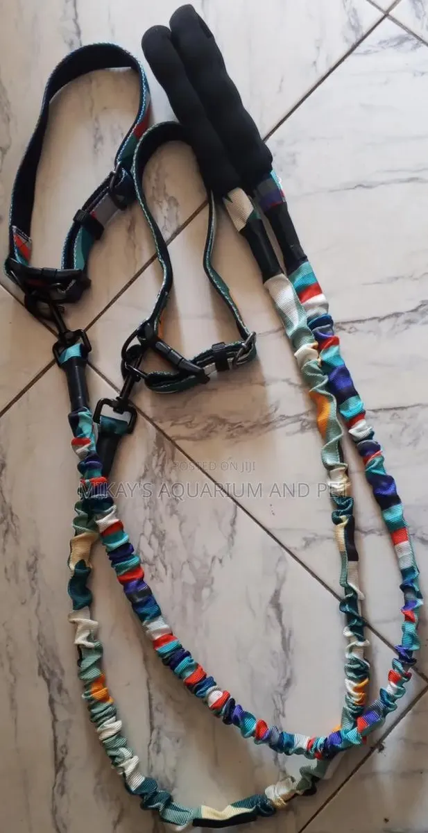 Collar With Leash for Dogs · Photo 1