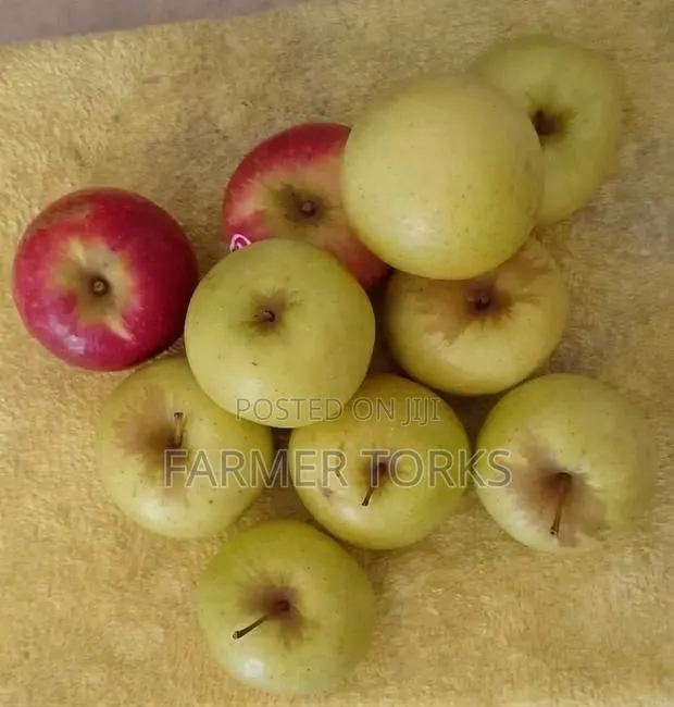 Apple (6 Pieces) · Photo 1