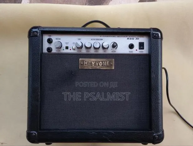 Keytone KSG 30 2 Channel Guitar Combo · Photo 1