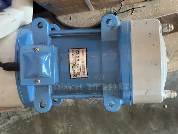 Electric Vibrator Motor · Photo 1