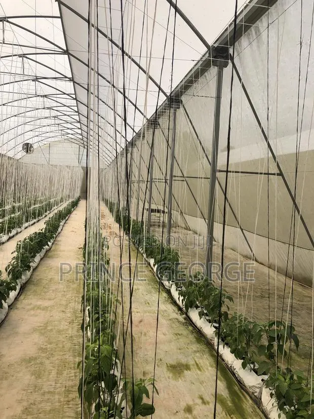 Greenhouse for Sale · Photo 4